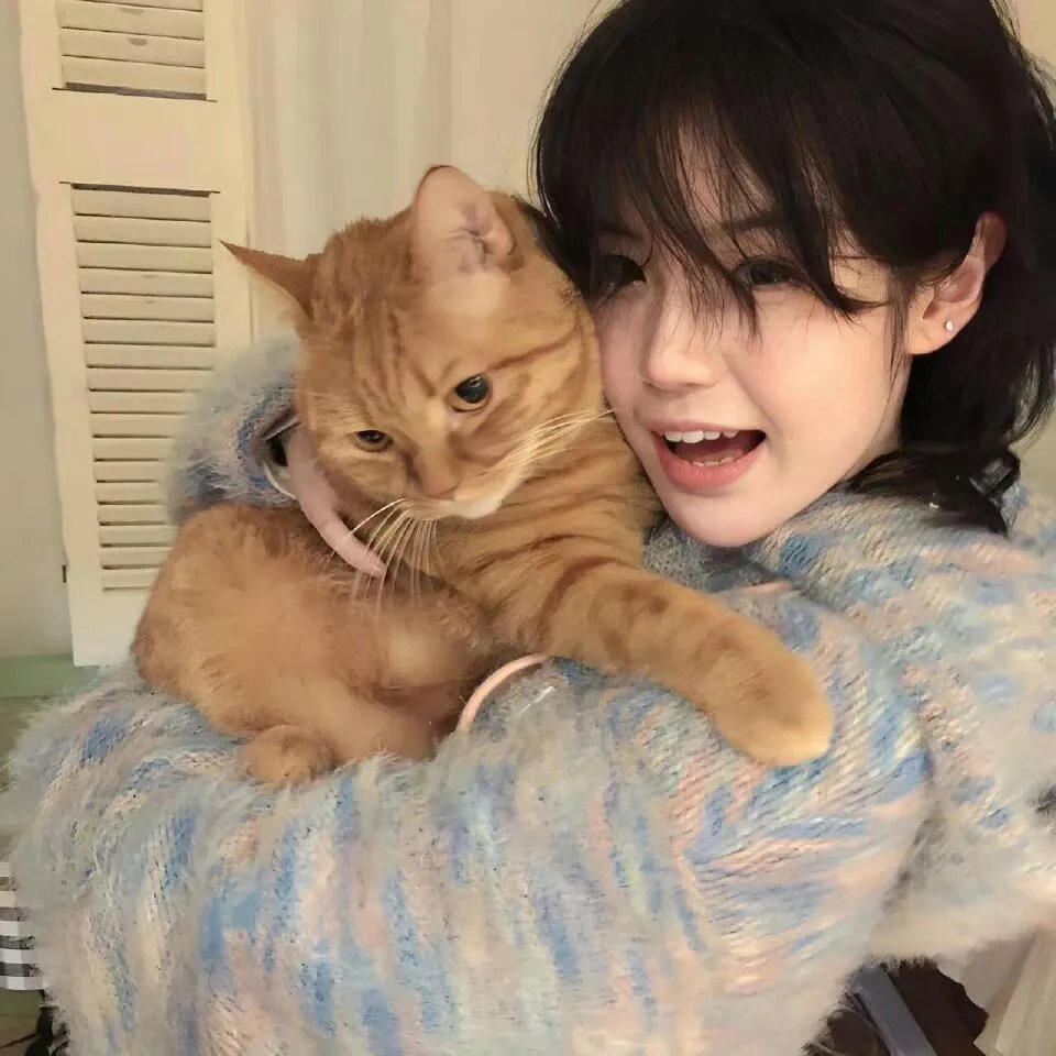 罗马尼亚绑架案